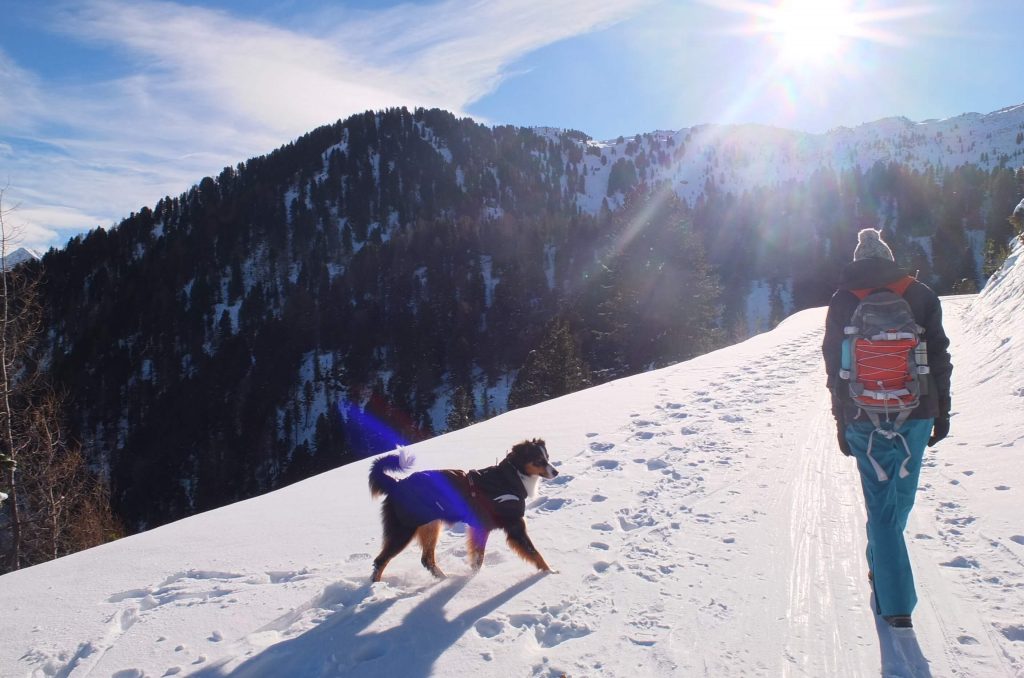 Planung einer Hüttentour mit Hund LaikAlpin