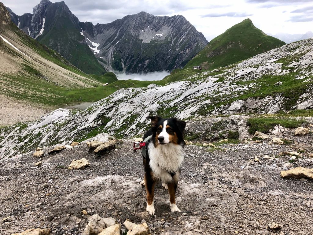 Planung einer Hüttentour mit Hund LaikAlpin